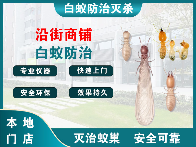 黄岩区沿街商铺白蚁防治