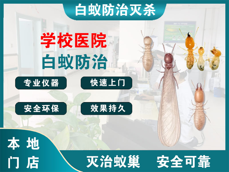 黄岩区学校医院白蚁防治