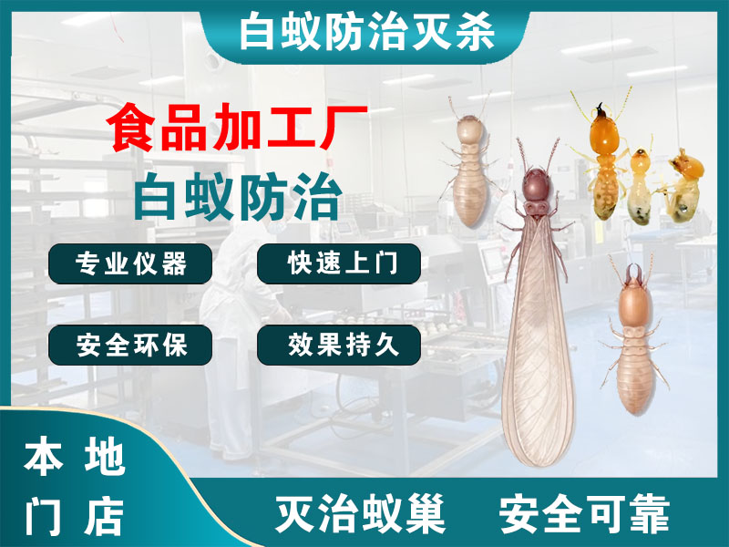 黄岩区食品加工厂白蚁防治