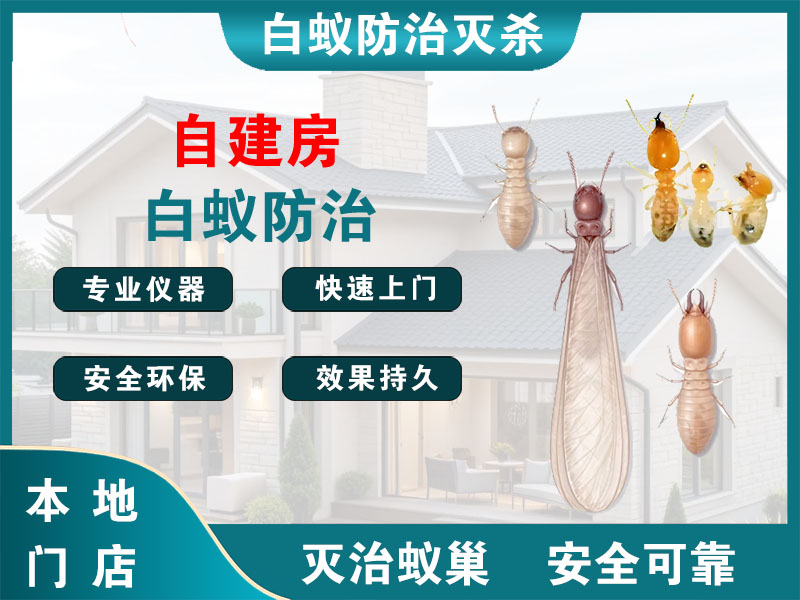 黄岩区自建房白蚁防治