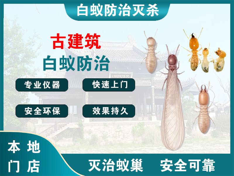 黄岩区古建筑白蚁防治