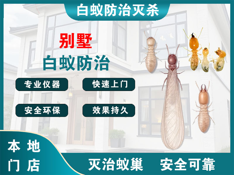 黄岩区别墅白蚁防治